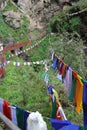 Rows of Buddhist Prayer flags on hill.