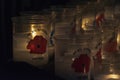 Candles in Remembrance