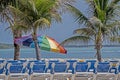 Rows of chairs and beach umbrellas in the Bahamas. Royalty Free Stock Photo