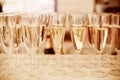 Rows of Champagne Glasses Served on Event Royalty Free Stock Photo