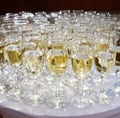 Rows of champagne and wine glasses for party and wedding Royalty Free Stock Photo