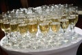 Rows of champagne and wine glasses for party and wedding Royalty Free Stock Photo