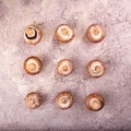 Rows of champignon mushroom on gray concrete background. Top view