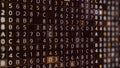 Rows of changing symbols, hacking a password on black background, seamless loop. Animation. Abstract moving random
