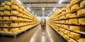 Rows of cheese pieces on wooden shelves in store or at large milk factory. Royalty Free Stock Photo