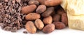 Rows of Chocolate Nibs Cocoa Beans and Cocoa Butter on a White Background Royalty Free Stock Photo