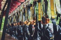 Rows of climbing safety ropes and carabiners and helmets Royalty Free Stock Photo