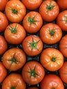 Rows of Cluster tomatoes close up