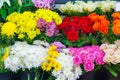 Rows of colorful bouquets in the flower shop