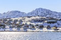 Rows of colorful Inuit houses along the fjord with snow mountain Royalty Free Stock Photo