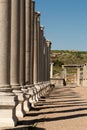 Rows of columns in Perge, Antalya, Turkey. Remains of colonnaded street in Pamphylian ancient city. Royalty Free Stock Photo