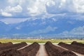Rows of Compost ready for sale with Panoramic view of Wasatch Front Rocky Mountains, Great Salt Lake Valley in early spring with m Royalty Free Stock Photo