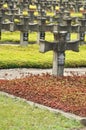 Rows of concrete crosses at a historic cemetery from World War II Royalty Free Stock Photo
