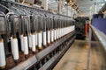 Rows of cotton threads on vintage automatic loom