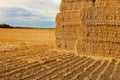 Rows of cut straw leading to a stack of bales
