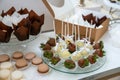 Rows of delicious desserts in beautiful compositions. Sweets on the banquet table - a photo taken during catering