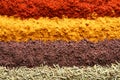 Rows of different aromatic spices as background