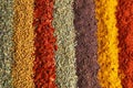 Rows of different aromatic spices as background