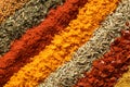 Rows of different aromatic spices as background