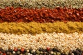 Rows of different aromatic spices as background