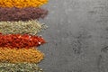 Rows of different aromatic spices on gray background, space for text