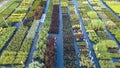Rows of different plants stand on the nursery floor