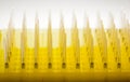 Rows of disposable laboratory dropper tips Royalty Free Stock Photo