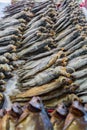 Rows of dried fish Royalty Free Stock Photo
