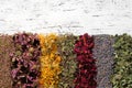 Rows of dry medicinal herbs on white board. Top view Royalty Free Stock Photo