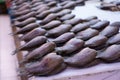 Rows of dryed Snakeskin gourami on the wooden table in the market