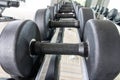 Rows of dumbbell