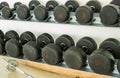Rows of dumbbells on a rack in the fitness or gym Royalty Free Stock Photo