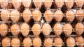Rows of eggs Royalty Free Stock Photo
