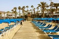 Rows of empty beach chaise longue with umbrellas on the sand with palm trees on the background early morning