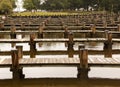 Rows of empty boat dock harbor