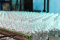 rows of empty bottles at bottling plant with swallow depth of field Royalty Free Stock Photo