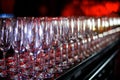 Rows of Empty Champagne Glasses on the table. Many wedding glasses Royalty Free Stock Photo