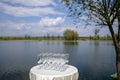 Rows of empty champagne or sparkling wine glasses. Royalty Free Stock Photo