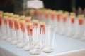 Rows of empty glasses prepared for tasting Royalty Free Stock Photo
