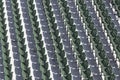 Rows of empty green seats at an outdoor sporting event on a sunny day