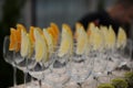 Rows of empty glasses prepared for reception Royalty Free Stock Photo