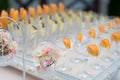 Rows of empty glasses prepared for reception Royalty Free Stock Photo