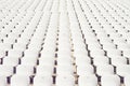 Rows of empty white plastic seats at the tribune Royalty Free Stock Photo
