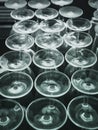 Rows of empty wine glasses Party Royalty Free Stock Photo