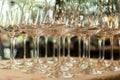 Rows of empty wine glasses on the table Royalty Free Stock Photo