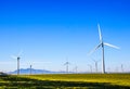 Rows & Rows Of Energy Producing Windmills Royalty Free Stock Photo