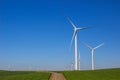 Rows Of Energy Producing Windmills On Energy Farm