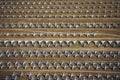 Rows of F-4 Military Aircraft, Davis Montham Air Force Base, Tucson, Arizona