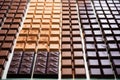 rows of finished chocolate bars perfectly aligned