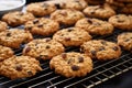 rows of fresh-baked oatmeal raisin cookies cooling on rack